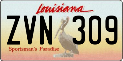 LA license plate ZVN309