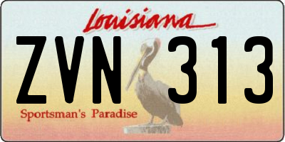 LA license plate ZVN313