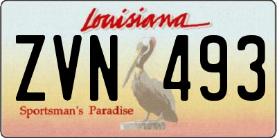 LA license plate ZVN493