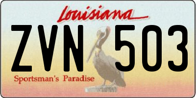 LA license plate ZVN503