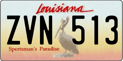 LA license plate ZVN513