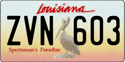 LA license plate ZVN603