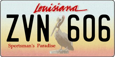 LA license plate ZVN606