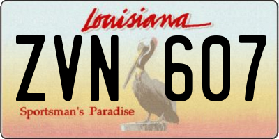 LA license plate ZVN607