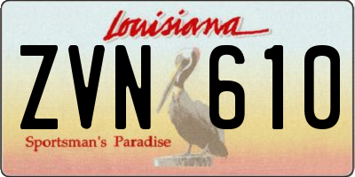 LA license plate ZVN610