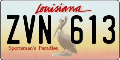 LA license plate ZVN613