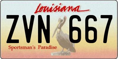 LA license plate ZVN667