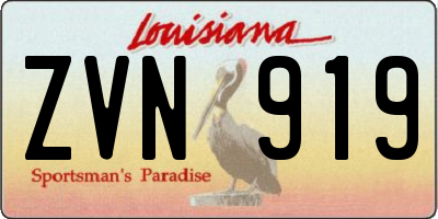 LA license plate ZVN919