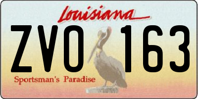 LA license plate ZVO163
