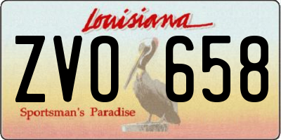 LA license plate ZVO658