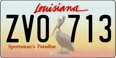 LA license plate ZVO713