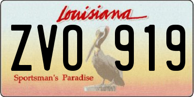 LA license plate ZVO919