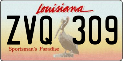 LA license plate ZVQ309