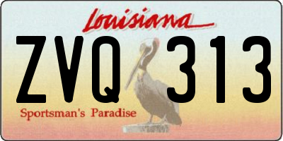 LA license plate ZVQ313