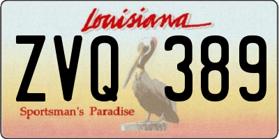 LA license plate ZVQ389