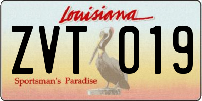LA license plate ZVT019
