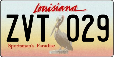 LA license plate ZVT029