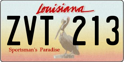LA license plate ZVT213