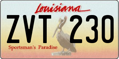 LA license plate ZVT230