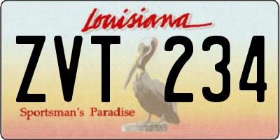 LA license plate ZVT234