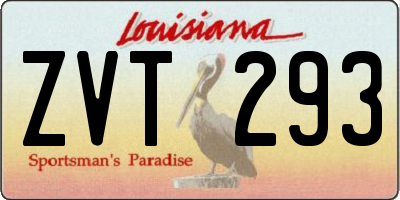 LA license plate ZVT293