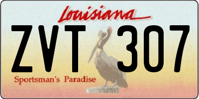 LA license plate ZVT307
