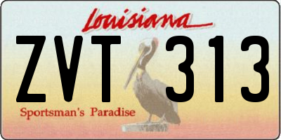 LA license plate ZVT313