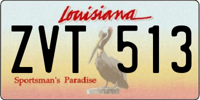 LA license plate ZVT513