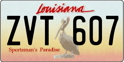 LA license plate ZVT607