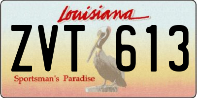 LA license plate ZVT613