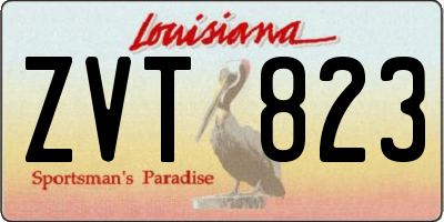 LA license plate ZVT823