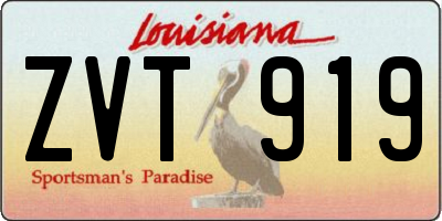 LA license plate ZVT919