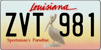 LA license plate ZVT981