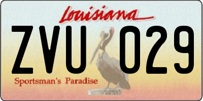 LA license plate ZVU029