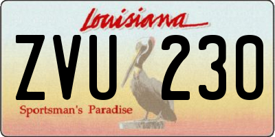 LA license plate ZVU230