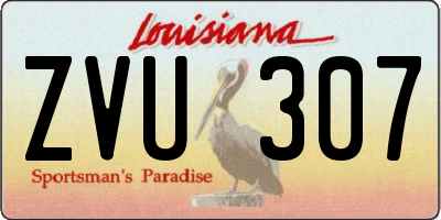 LA license plate ZVU307
