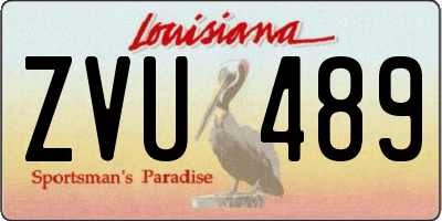 LA license plate ZVU489