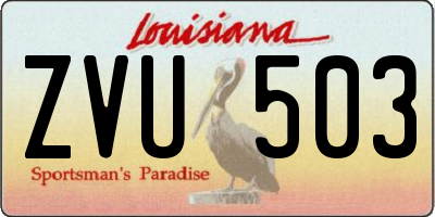 LA license plate ZVU503