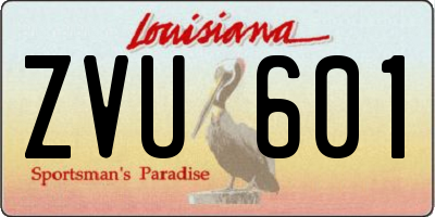 LA license plate ZVU601