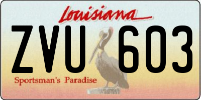 LA license plate ZVU603