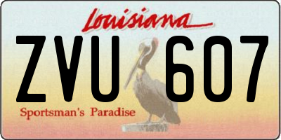 LA license plate ZVU607
