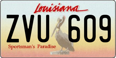 LA license plate ZVU609