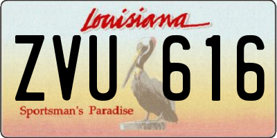 LA license plate ZVU616
