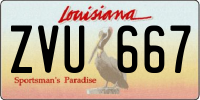 LA license plate ZVU667
