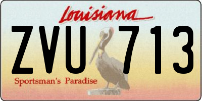 LA license plate ZVU713