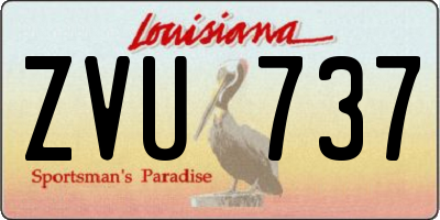 LA license plate ZVU737