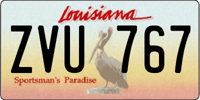 LA license plate ZVU767