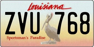 LA license plate ZVU768