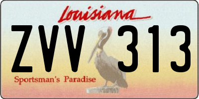 LA license plate ZVV313