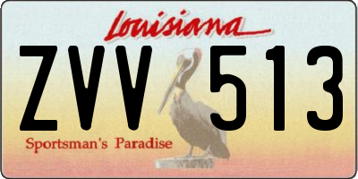 LA license plate ZVV513